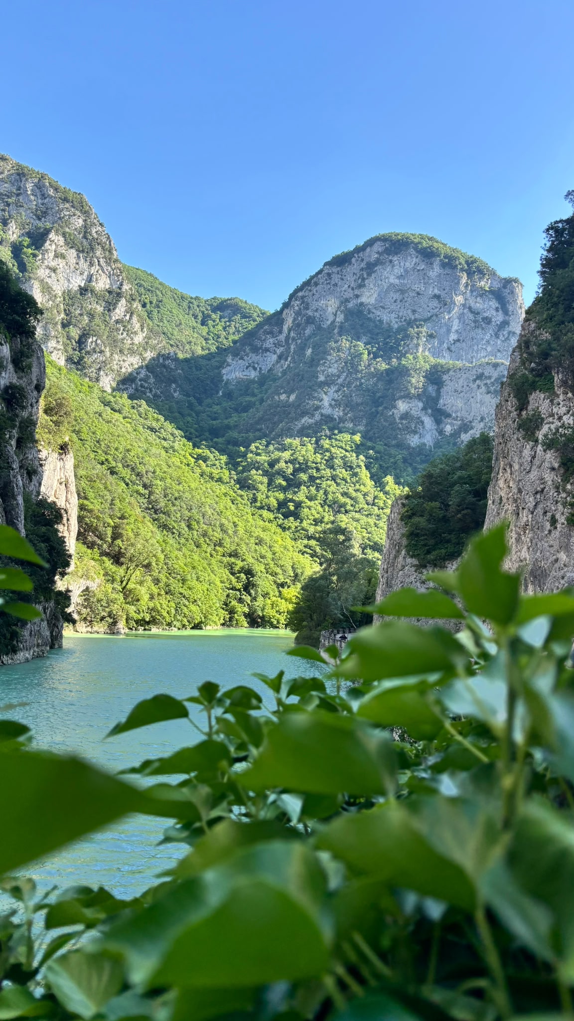 Gola del Furlo